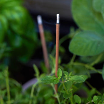 Garden Incense And Holder